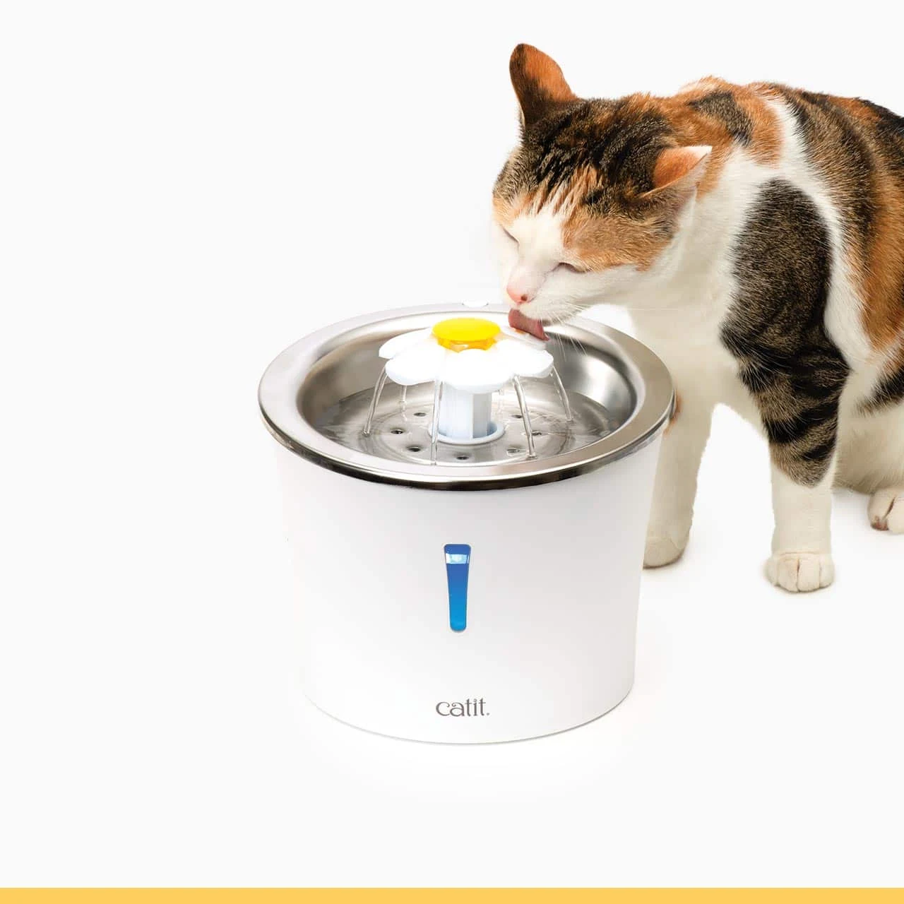 Fontaine à eau Catit Flower avec dessus inox, 3 L